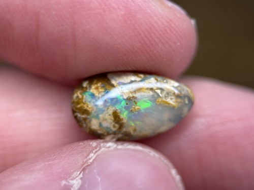 Boulder opal poliert - 3,4, ct