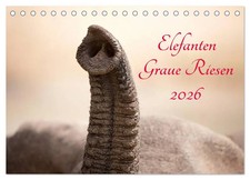 Elefanten graue riesen - graue,