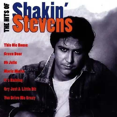 Shakin stevens the hits of - shakin',