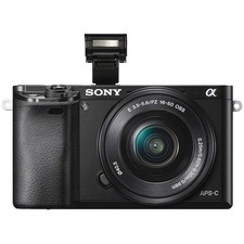 Sony Alpha A6000 Mirrorless