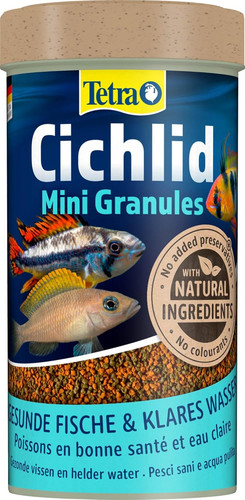 Tetra mini cichlid - tetra,