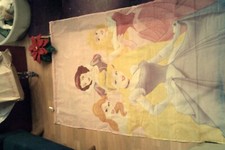 Gardine * Vorhang * Disney * Prinzessin