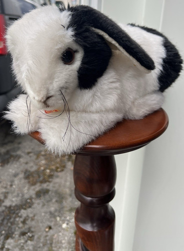 Steiff spotty kaninchen - spotty,