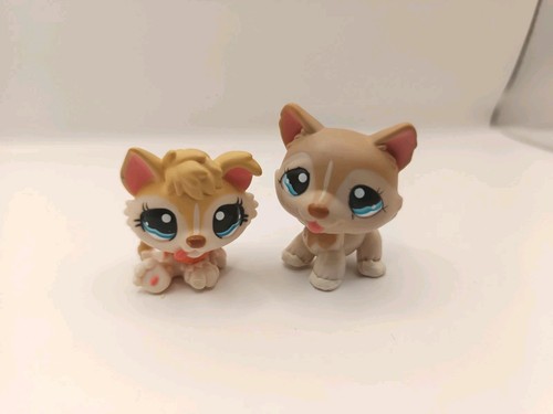 Authentic littlest pet shop - authentic,
