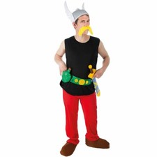 Asterix Kostüm deluxe für