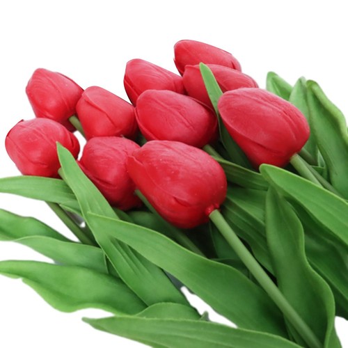 Stück für mini - 10, tulpe