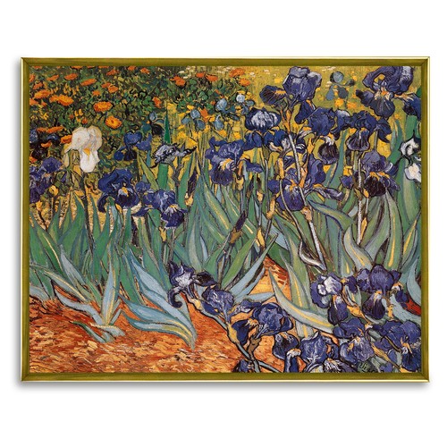 Iris vincent van gogh - -,