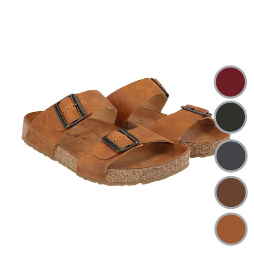 Haflinger bio andrea damen - bio,