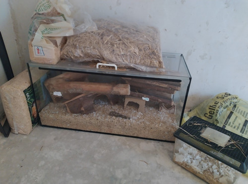 Nagarium aus glas für - nagarium,