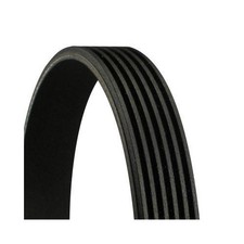 Keilrippenriemen Continental Ctam 6PK1256 für Fiat Ford Toyota Volvo Hyundai Kia