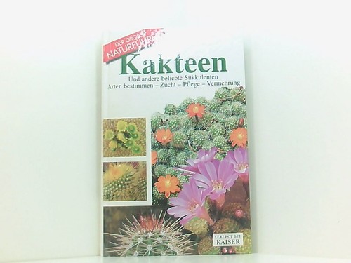 Kakteen und andere beliebte