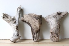 Treibholz Schwemmholz Driftwood 3 knorrige Hölzer Terrarium  20-26 cm*304*
