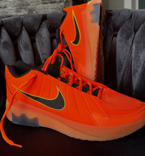 Nike LeBron Witness IX