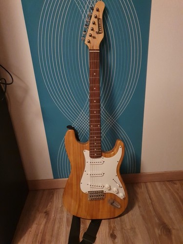 Gitarre oakside st - e,
