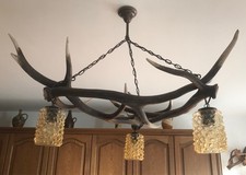 Prächtige Geweihlampe (Deckenlampe mit 3 Leuchten + 1 Ersatzglas)