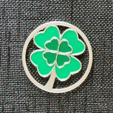 Einkaufswagen Chip EKW Chip