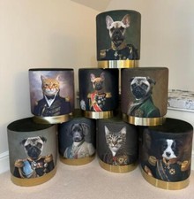Skurriler hocker labrador - skurriler,