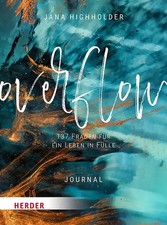 Overflow ZUSTAND SEHR GUT