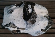 Hühnergott Lochstein Haus Garten Ostsee Hochzeit Deko.  9 x 12 cm