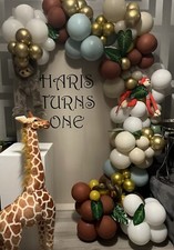 Segelboard MIET & Ballons WILD