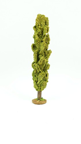 Creglinger baum pappel - baum,