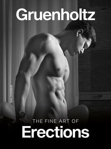The fine art erections - art, |