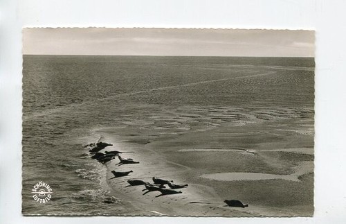 Postcard seal bank