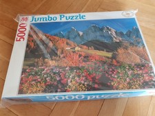 vintage - altes Puzzle 5000