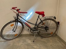 Hercules Varena Sportrad Damen