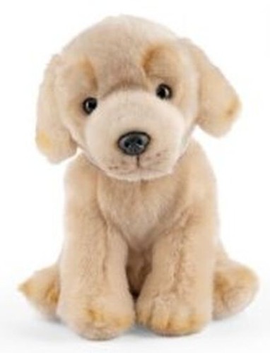 Golden labrador 28cm mit - golden,