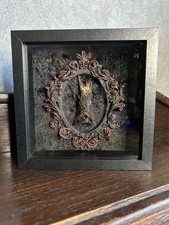 Fledermaus im Objektrahmen Bat