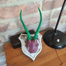 Geweih Rehbock Bunt Vintage Shabby Chick