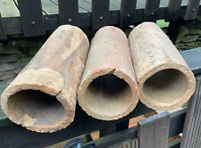 3x echse frosch höhle