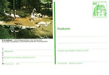 (840) Bildpostkarte - Haßloch - postfrisch