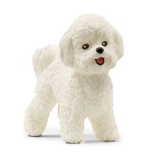 Schleich - 13963 - Bichon Frisé