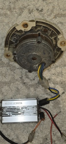 Bürstenloser motor 36v mit - bürstenloser,