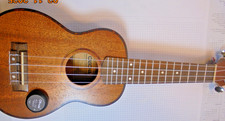 CASCHA UKULELE MIT PU
