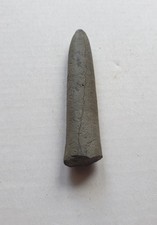 Dactyloteuthis similis - Lias