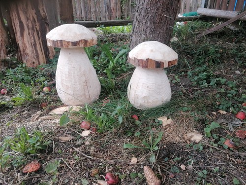Pilze aus holz - pilze,