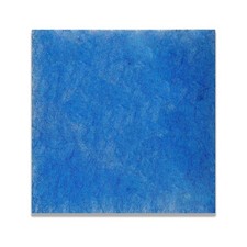 6 Filter für Limodor Limot