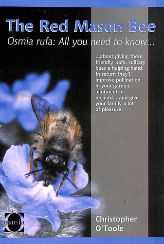 The red mason bee - the,