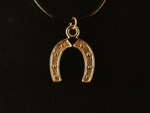 Hufeisen anhänger mit kette - hufeisen,