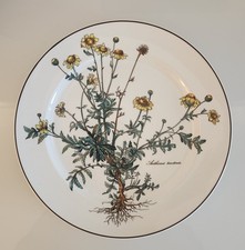 Vileroy & Boch, Botanica