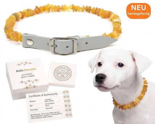 Bernsteinkette hund katze - bernsteinkette,