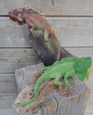 2 Stück 34cm Figur Leguan Eidechse Echse Drache modelliert +Treibholz B-Ware