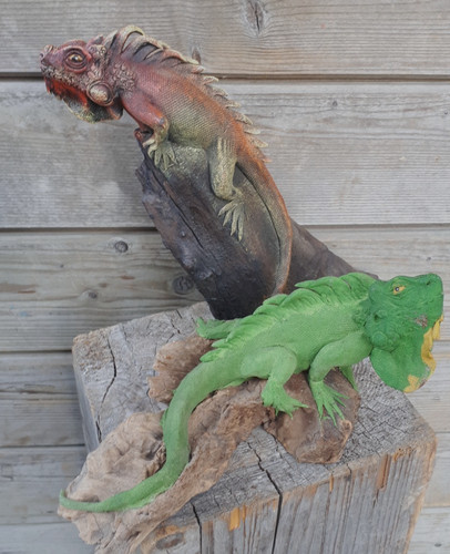 Stück 34cm figur leguan - 2,