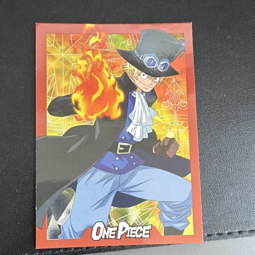 Panini one piece - one,