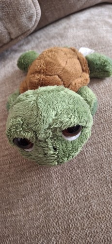 Kleine schildkröte shecky - schildkröte, "shecky"
