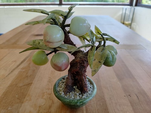 Jade pfirsich baum - pfirsich,