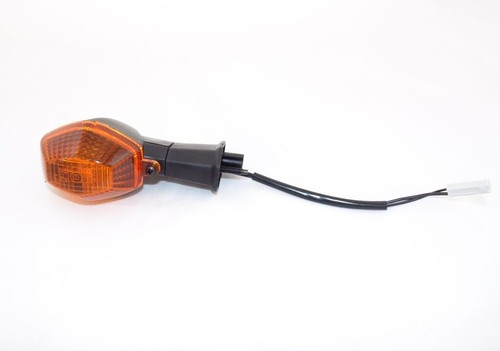 Blinker vorne links für